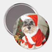 Christmas X'Mas Miniature Schnauzer Magnet (Vorderseite/Rückseite)