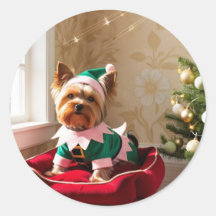 Christmas Yorkie