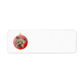 Christmas Yorkshire Terrier (Vorne)