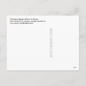 Christmas Zigzag Feiertagspostkarte (Rückseite)