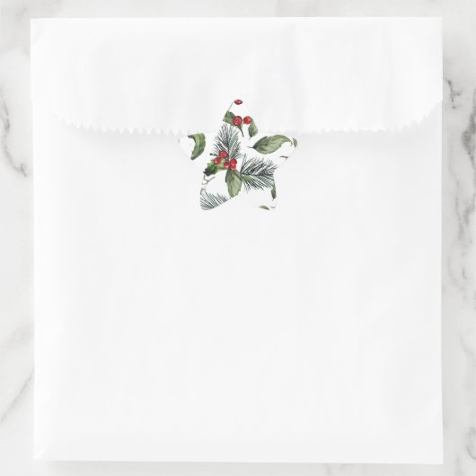 Christmass  Stern-Aufkleber (Tasche)