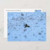 Christmastime in Neuengland Feiertagspostkarte (Vorne/Hinten)