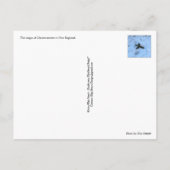 Christmastime in Neuengland Feiertagspostkarte (Rückseite)