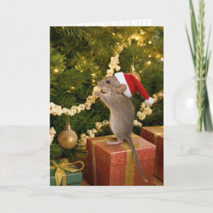 Christmaus-Maus, die Popcorn-Girlande am Baum isst Karte