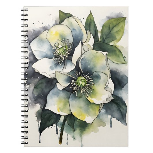 Christrose - Aquarellblumen Notizblock (Vorderseite)