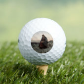 Christus in der Wildnis (von Ivan Kramskoi) Golfball (Insitu T-Shirt)