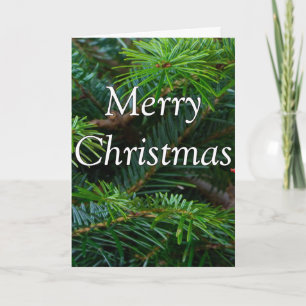 Christus ist Immanuel Weihnachten Jesaja 7-14