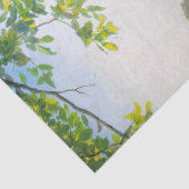 Christus und die Samariterin von Carl Bloch Seidenpapier (Detail)