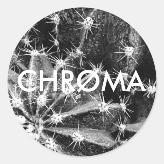 CHRØMA CACTUS STICKER (Vorderseite)