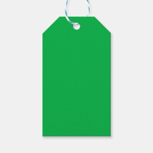 Chroma-Schlüsselfarbe Grün Geschenkanhänger (Vorderseite)