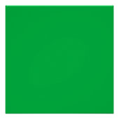 Chroma-Schlüsselfarbe Grün Poster (Vorderseite)
