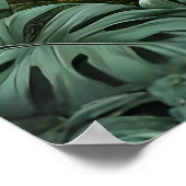 Chromatic Lily Symphony Poster (Ecke)