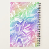 chromatic reality : planer (Rückseite)