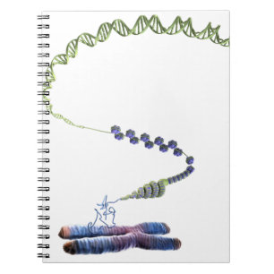 Chromatin Notizblock