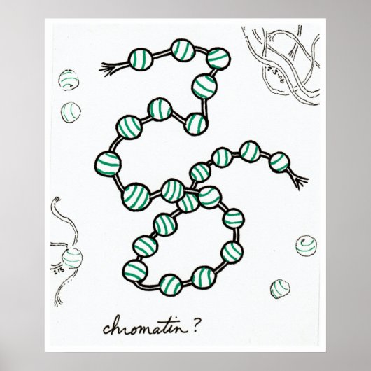 Chromatin Poster (Vorne)