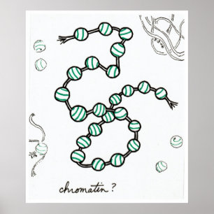 Chromatindruck Poster