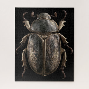 Chromatische Käfer Puzzle