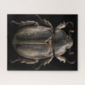 Chromatische Käfer Puzzle (Horizontal)