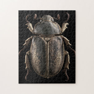 Chromatische Käfer Puzzle