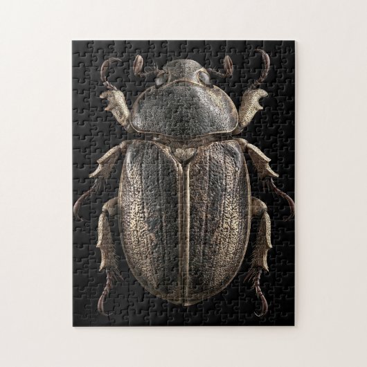 Chromatische Käfer Puzzle (Vertikal)