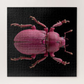 Chromatische Käfer Puzzle (Horizontal)