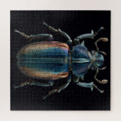 Chromatische Käfer Puzzle (Horizontal)