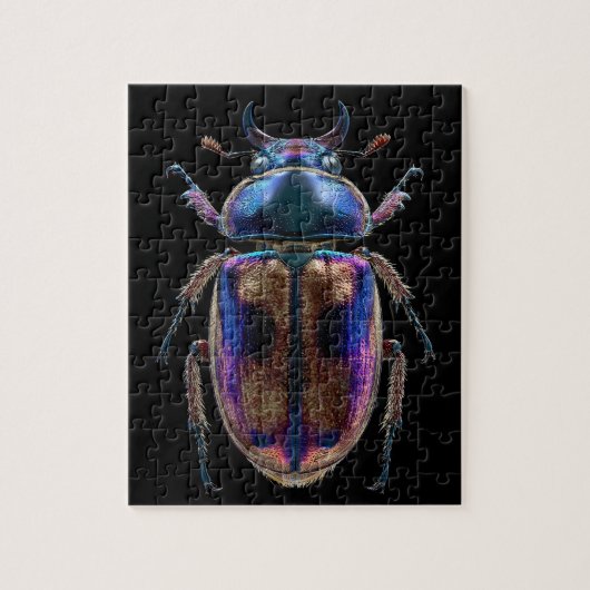 Chromatische Käfer Puzzle (Vertikal)