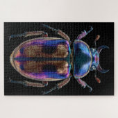 Chromatische Käfer Puzzle (Horizontal)