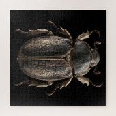 Chromatische Käfer Puzzle (Horizontal)