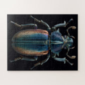 Chromatische Käfer Puzzle (Horizontal)