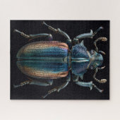 Chromatische Käfer Puzzle (Horizontal)
