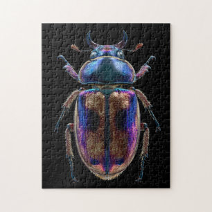 Chromatische Käfer Puzzle