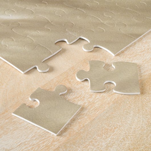 Chrome Like Rope Anchor in the Sand Puzzle (Seite)