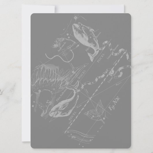 Chrome Style Pisces Zodiac Symbol auf Hevelius (Rückseite)