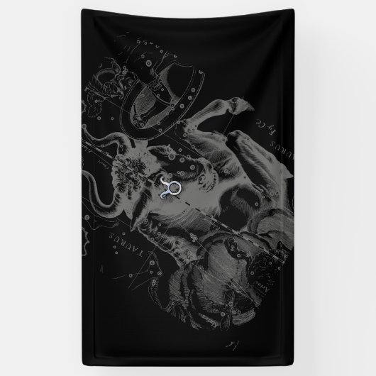 Chrome Style Taurus Zodiac-Zeichen auf Hevelius De Banner (Vertikal)
