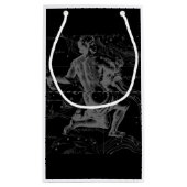 Chrome wie Aquarius Zodiac-Zeichen auf Hevelius 16 Kleine Geschenktüte (Rückseite)