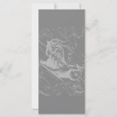 Chrome wie Capricorn Zodiac Sign auf Hevelius (Rückseite)