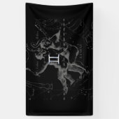 Chrome wie Gemini Zodiac Sign auf Hevelius Banner (Vertikal)