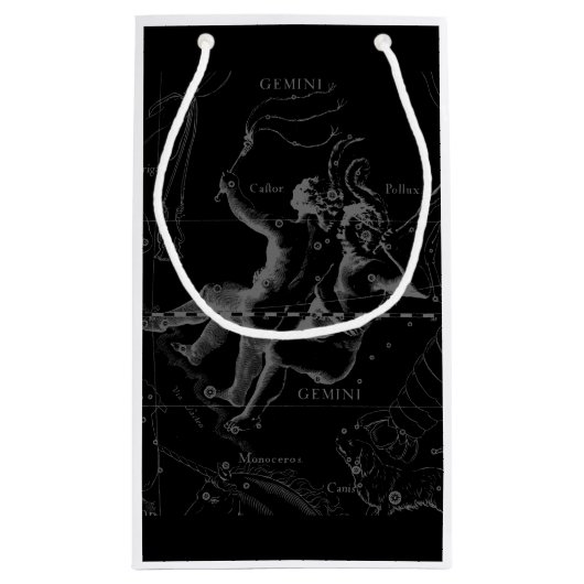 Chrome wie Gemini Zodiac Sign auf Hevelius Kleine Geschenktüte (Rückseite)
