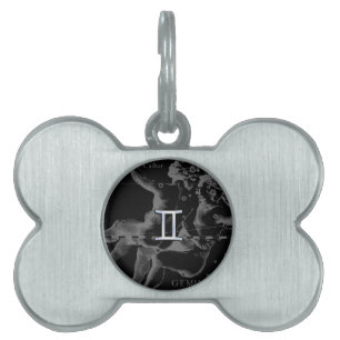 Chrome wie Gemini Zodiac Symbol auf Hevelius Tiermarke
