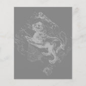 Chrome wie Leo Zodiac Constellation Map Hevelius Flyer (Hinten)