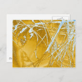 Chromgewebe Postkarte (Vorne/Hinten)