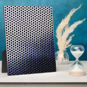 Chromnetz Fotoplatte (Seite)