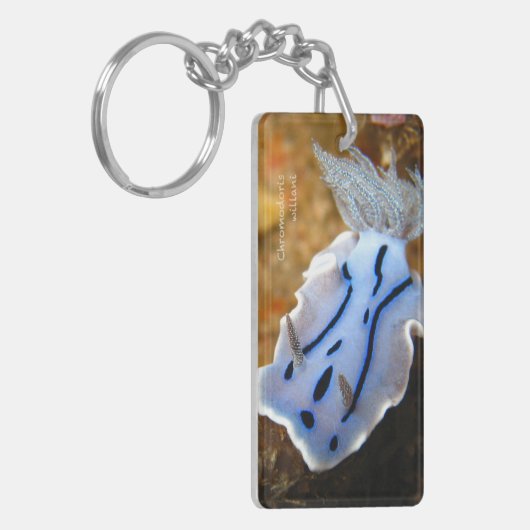 Chromodoris willani Rechteck (doppelseitiges) Schlüsselanhänger (Vorderseite links)