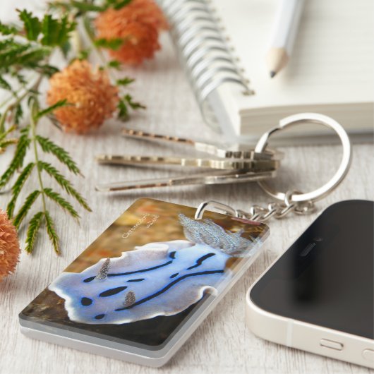 Chromodoris willani Rechteck (doppelseitiges) Schlüsselanhänger (Vorderseite rechts)