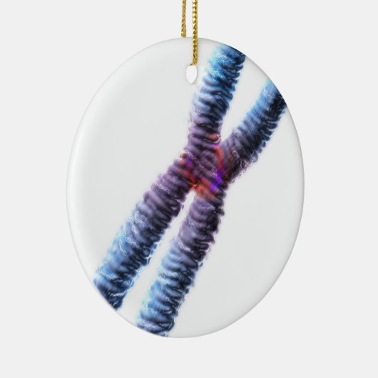 Chromosom Keramikornament (Rechts)