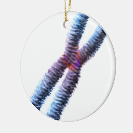 Chromosom Keramikornament (Links)