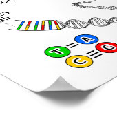 Chromosom Poster (Ecke)