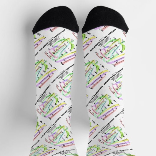 Chromosomale Translokationen Karyogramm Socken (Oben)