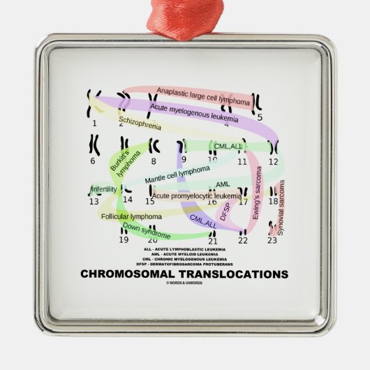 Chromosomale Versetzungen (Karyogram) Silbernes Ornament (Vorne)